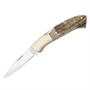 Browning Knives 307 Presentation Lockback Knife with Genuine Stag Handles Browning Knives 307 Presentation Lockback Knife with Genuine Stag Handles