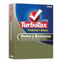 TurboTax Home & Business Federal + State 2007 [OLD VERSION]