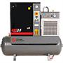 FREE SHIPPING Chicago Pneumatic Quiet Rotary Screw Air Compressor with Dryer 3 HP, 230 Volts, 1 Phase, Model# QRS3.0HPD FREE SHIPPING Chicago Pneumatic Quiet Rotary Screw Air Compressor with Dryer 3 HP, 230 Volts, 1 Phase, Model# QRS3.0HPD